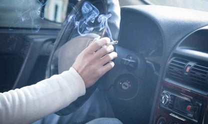 Interior Odour & Pet Hair Removal Specialized Add-on - Static Auto Care