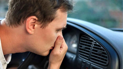 Interior Odour & Pet Hair Removal Specialized Add-on - Static Auto Care
